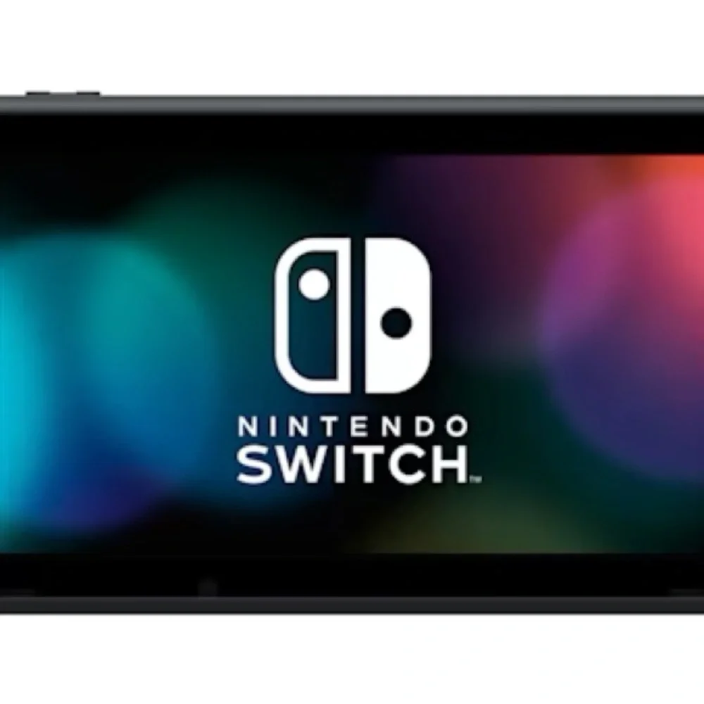 Nintendo enjoy portable